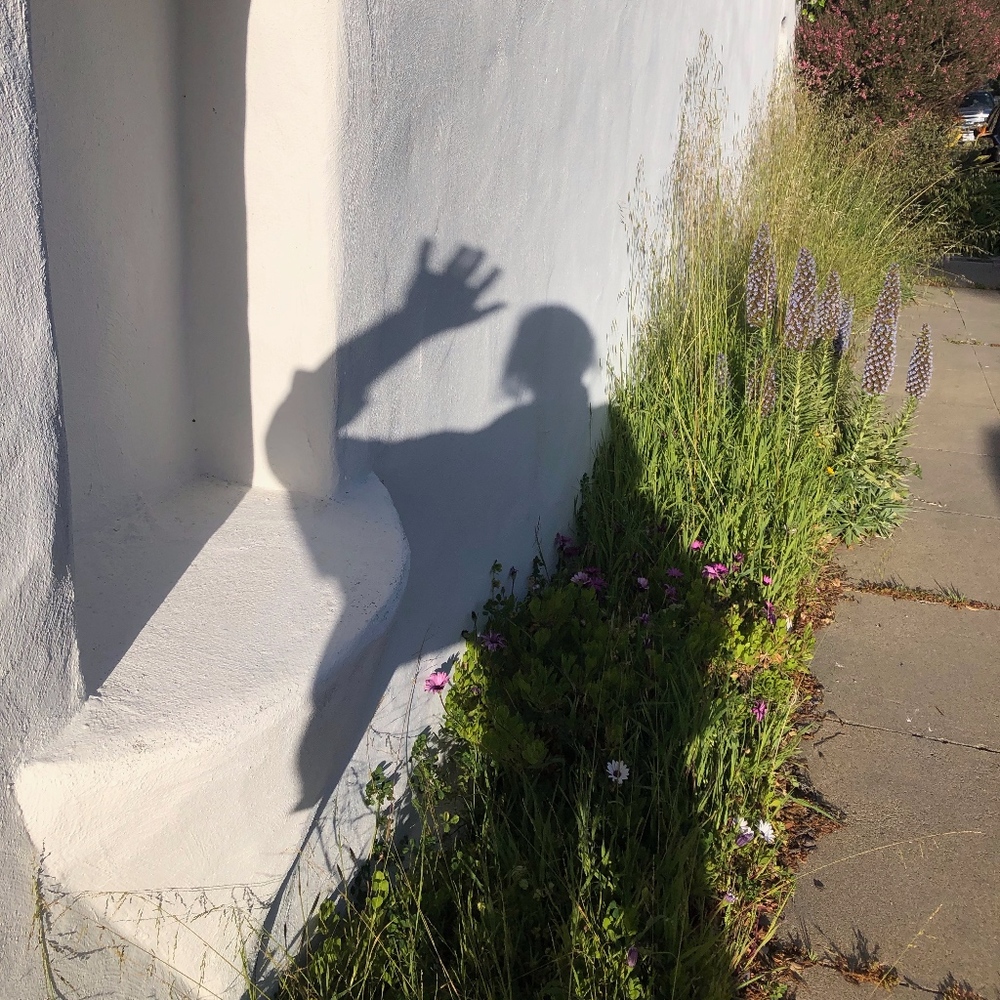 Meet your Posher, Hailie